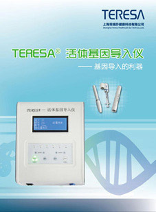 信息技術(shù)咨詢 數(shù)字化轉(zhuǎn)型的關(guān)鍵伙伴