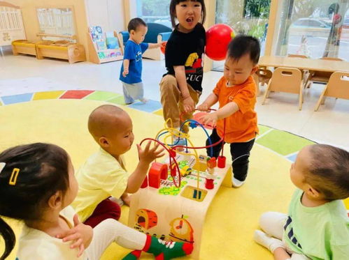 青島托育服務(wù)再升級 新增4851個(gè)托位，家庭互助式托育獲政府力推